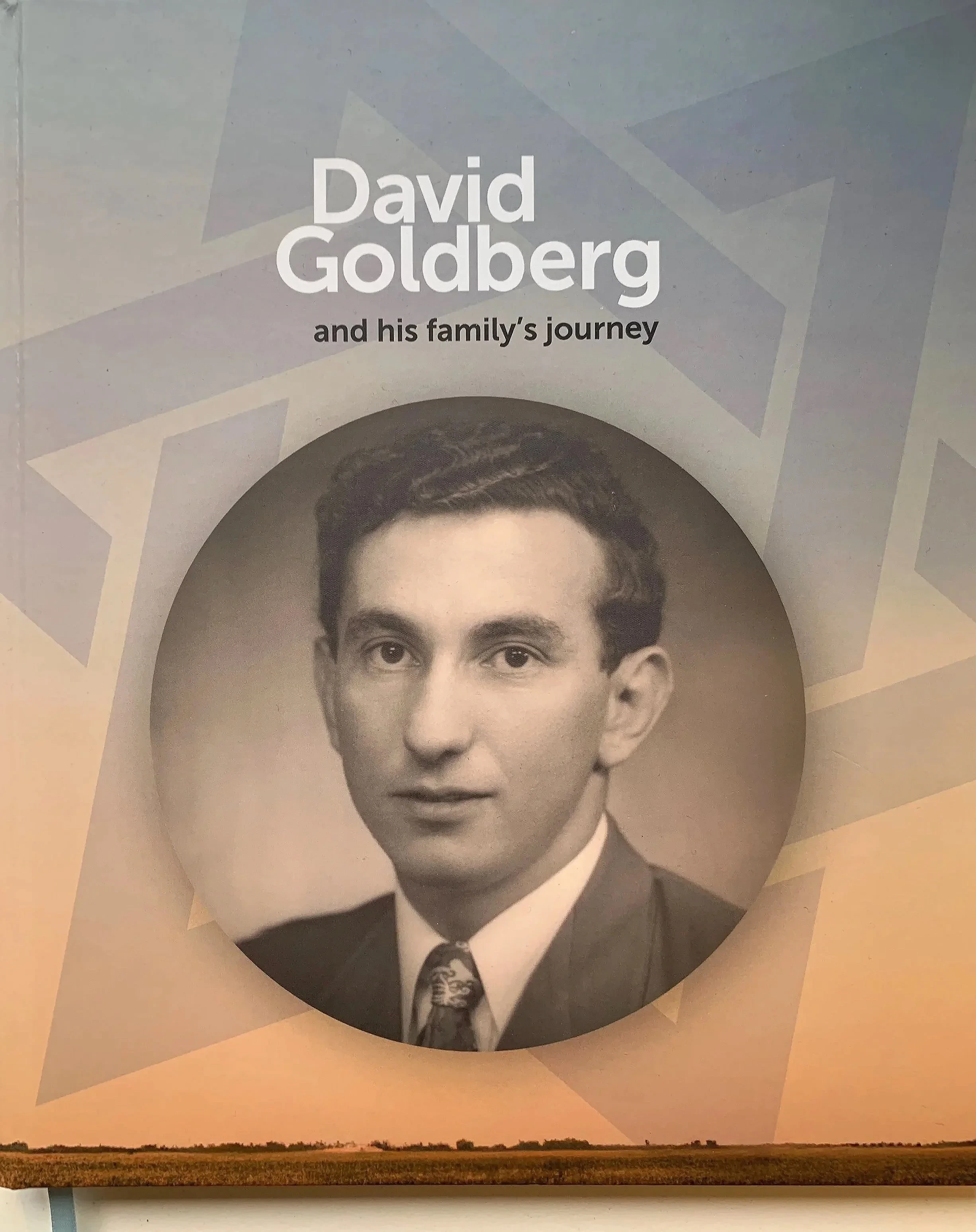 David Goldberg Memoir book cover